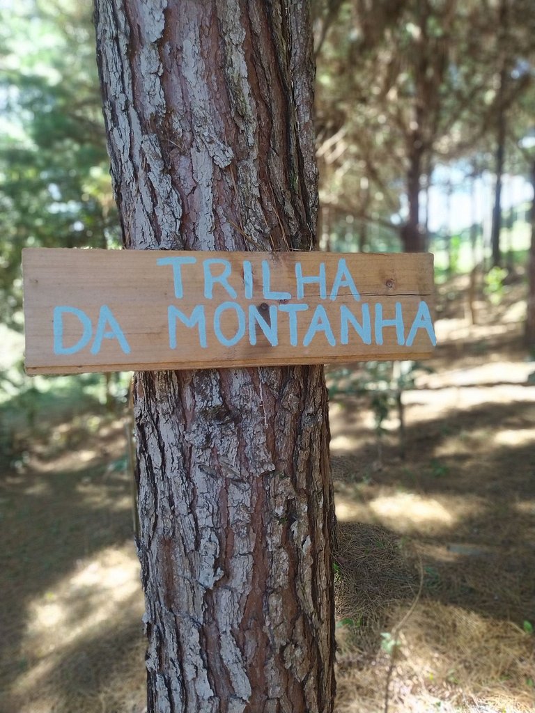 Morada Alma Gêmea chalé para casal e mirante