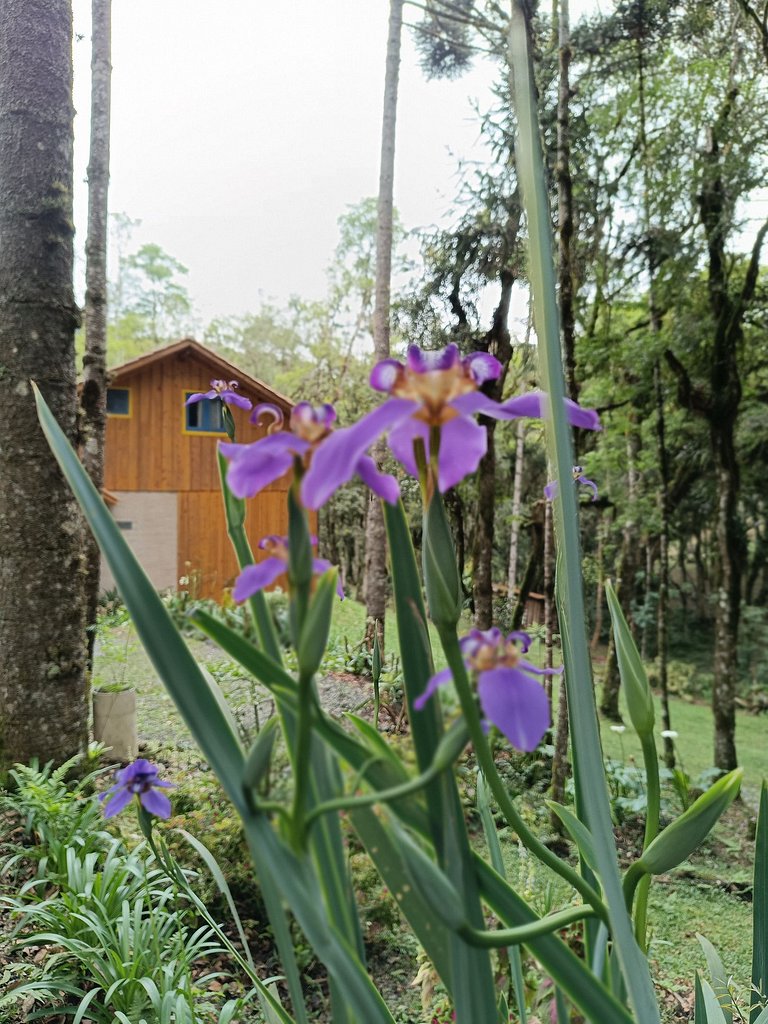 Morada Alma Gêmea chalé para casal e mirante