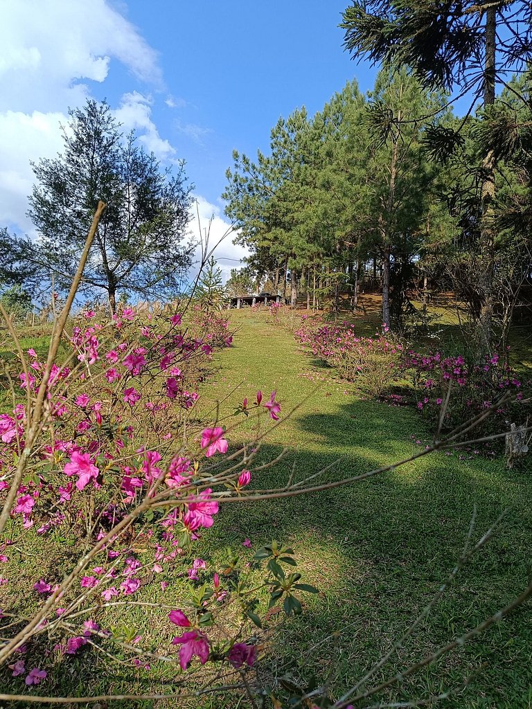 Morada Alma Gêmea Chalé casal hidro e mirante